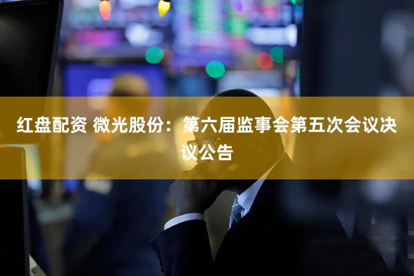红盘配资 微光股份：第六届监事会第五次会议决议公告