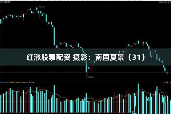 红涨股票配资 摄影：南国夏景（31）